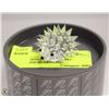 Image 1 : 95) AUTHENTIC SWAROVSKI PORCUPINE IN ORIGINAL