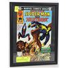 Image 1 : FRAMED SPIDERMAN AND NIGHT HAWK COMIC BOOK DISPLAY