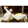 Image 1 : A PAIR OF HAND MADE GARDEN DUCKS