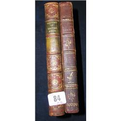 Books - Bewick 'History of British birds' two vols, both Newcastle 1804....