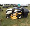 Image 1 : Cub Cadet LTX1050 w/bagger