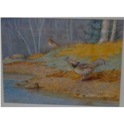 BROOKS, Allan, 1869-1946.    Ducks taking off  et/and  Pheasants on the Beach .  Aquarelles, sign...