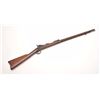 Image 1 : U.S. Trapdoor Springfield rifle, .45-70  caliber, 29.5” barrel, blued finish, wood  stock, iron ramr