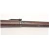 Image 6 : U.S. Springfield Model 1888 “Trapdoor” rifle,  .45-70 caliber, 32.5” barrel, blued finish,  wood sto