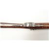 Image 22 : Fine double barrel French percussion shotgun  signed in gold on the barrel, “Delpire Arq.  Du Roi A 