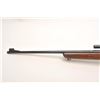 Image 15 : Winchester Model 43 bolt action rifle, .218  Bee caliber, 24” barrel, blued finish, wood  stock, S/N