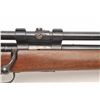 Image 16 : Winchester Model 43 bolt action rifle, .218  Bee caliber, 24” barrel, blued finish, wood  stock, S/N