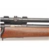 Image 8 : Winchester Model 43 bolt action rifle, .218  Bee caliber, 24” barrel, blued finish, wood  stock, S/N