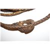 Image 2 : Forty-seven foot leather riata with 4 strands  in very good overall condition    Est.:   $300-$600.