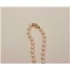 Image 3 : Natural “Gem” quality pink rose or “Angel  skin” color matched cultured pearls of  approximately 8-8