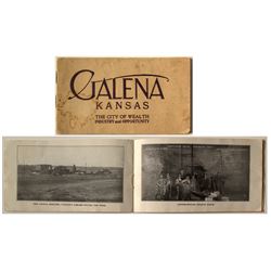 Galena lead Mining Informational Booklet
