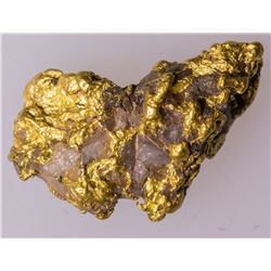 Bradshaw Mountains, Arizona Gold Nugget