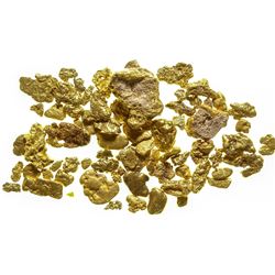 Downieville Gold Nuggets