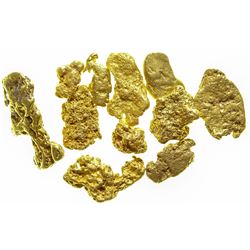 San Gabriel River Gold Nuggets