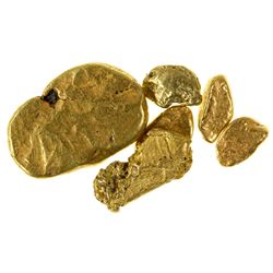 Sierra City Area Placer Gold