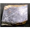 Image 2 : Outback Nevada, Burned Petrified Wood, with Minor Native Gold