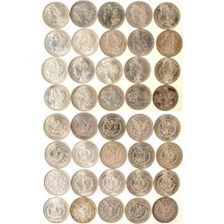 New Orleans Morgan Dollars