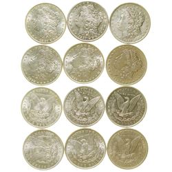 Morgan Dollars