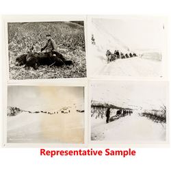 Horse Train Photographs