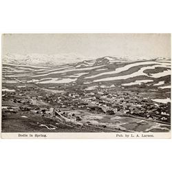 Bodie in the Spring Postcard