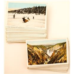 Large Lot of Yellowstone Postcards