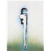 Image 1 : JIM DINE (B. 1935) THE WRENCH IN NATURE SIGNED NUMBERED OF 40 AND DATED "JIM DINE 1974" ALONG THE...