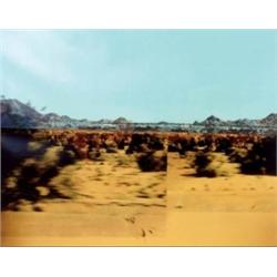 FELIX STEPHAN HUBER (B. 1957) UNTITLED (GREEN/YELLOW) PHOTOPROJECTION ON PAPER 70 X 145 IN. (177....