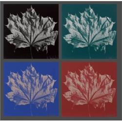 RAY CHARLES WHITE (B. 1961) UNTITLED EACH SIGNED NUMBERED OF 90 AND DATED "RAY CHARLES WHITE 92" ...