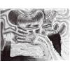 Image 1 : CARROLL DUNHAM (B. 1949) TOUCHING TWO SIDES SIGNED, INSCRIBED AND DATED "CARROLL DUNHAM 2/2/1989-...