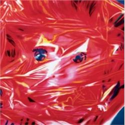 JAMES ROSENQUIST (B. 1933) GIFT WRAPPED DOLL SIGNED, TITLED, NUMBERED OF 24 AND DATED "GIFT WRAPP...