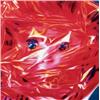 Image 1 : JAMES ROSENQUIST (B. 1933) GIFT WRAPPED DOLL SIGNED, TITLED, NUMBERED OF 24 AND DATED "GIFT WRAPP...