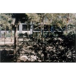 JEAN-MARC BUSTAMANTE (B. 1951) UNTITLED (BARCELONA) C-PRINT 153/4 X 235/8 IN. (40 X 60 CM) EXECUT...