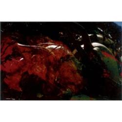 PETER FISCHLI AND DAVID WEISS (B. 1952 AND B. 1946) UNTITLED (PILZE) FW FUNGHI 19 SIGNED, NUMBERE...