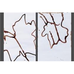GARY HUME (B. 1962) LONDON PLANE LEAVES (TWO WORKS) INDIA INK ON PAPER 8 X 5 IN. (20.3 X 12.7 CM)...