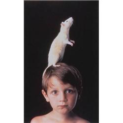 MARIA MARSHALL (B. 1966) FUTURE PERFECT IRIS PRINT 54 X 303/4 IN. (137.2 X 78.1 CM) EXECUTED IN 1...