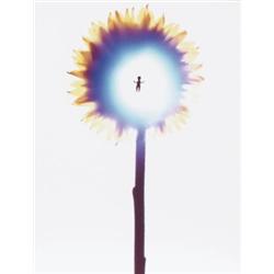 ADAM FUSS (B. 1961) UNTITLED SIGNED, NUMBERED AND DATED TWICE "ADAM FUSS, 1994, 2002" ON THE REVE...