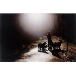 EMMANUELLE ANTILLE (B. 1972) YANN AND THE DOGS II C-PRINT EXECUTED IN 2001 THIS WORK IS FROM AN E...