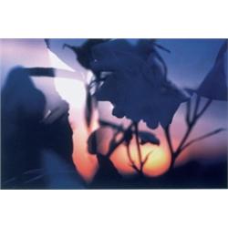 PETER FISCHLI AND DAVID WEISS (B. 1952 AND 1946) UNTITLED INKJET PRINT ON DIBOND 235/8 X 331/2 IN...