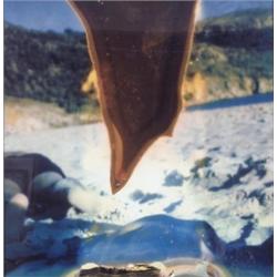 LOLA MONTES SCHNABEL UNTITLED IRIS PRINT 341/4 X 353/8 IN. (87 X 90 CM) EXECUTED IN 2001 ESTIMATE...