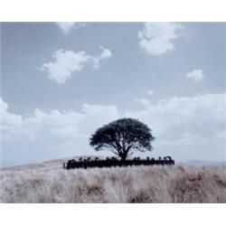 SHIRIN NESHAT (B. 1957) FROM TOOBA SERIES SIGNED, TITLED, NUMBERED OF 35 AND DATED C-PRINT MOUNTE...