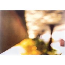 UTA BARTH (B. 1958) FIELD #23 ACRYLIC LACQUER ON CANVAS 90 X 132 IN. (228.6 X 335.2 CM) EXECUTED ...