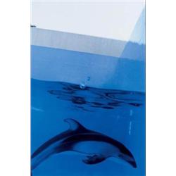 JACK FULTON (B. 1939) (I) ON PORPOISE (II) THEY TRAVELLED TOGETHER AND ONE MADE LEMON THYME VINEG...