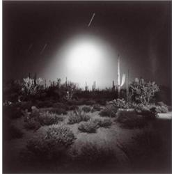 RICHARD MISRACH (B. 1949) BOMBER GAS STATION, OREGON CITY, OREGON OCOTILLO #1 TWO SELENIUM TONED ...