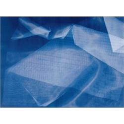 BARBARA KASTEN (B. 1936) UNTITLED CYANOTYPE 291/2 X 403/4 IN. (74.9 X 103.5 CM) EXECUTED IN 1975 ...