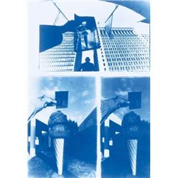 DARRYL J. CURRAN (B. 1935) UNTITLED THE POINT AND THE POINTER TWO CYANOTYPES ON RIVES BFK PAPER; ...