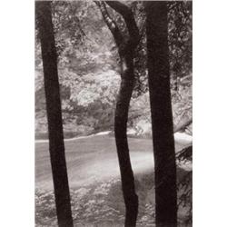 TOM MILLEA (B. 1944) REDDING, CONNECTICUT PALLADIUM PRINT 61/2 X 41/2 IN. (16.5 X 11.4 CM) EXECUT...