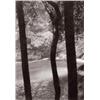 Image 1 : TOM MILLEA (B. 1944) REDDING, CONNECTICUT PALLADIUM PRINT 61/2 X 41/2 IN. (16.5 X 11.4 CM) EXECUT...