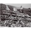 Image 1 : PIRKLE JONES ( B. 1914) THREE GRAPE PICKERS VINEYARD WORKER LOADING BOXES LOADING BOXES OF GRAPES...