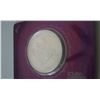 Image 2 : 1 OZ Silver Iguana round
