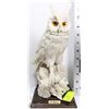 Image 1 : SIGNED E.FARINA  ALABATER OWL ITALY 1987